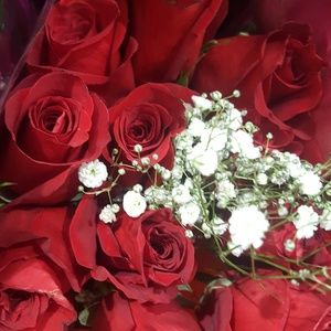 Meet your Posher, Lina